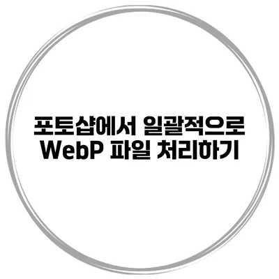 포토샵에서 일괄적으로 WebP 파일 처리하기